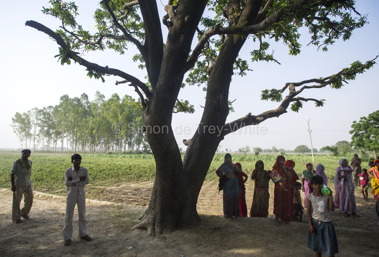 A small group of women stand vigil beneath the mango tree from which the girls were hanged