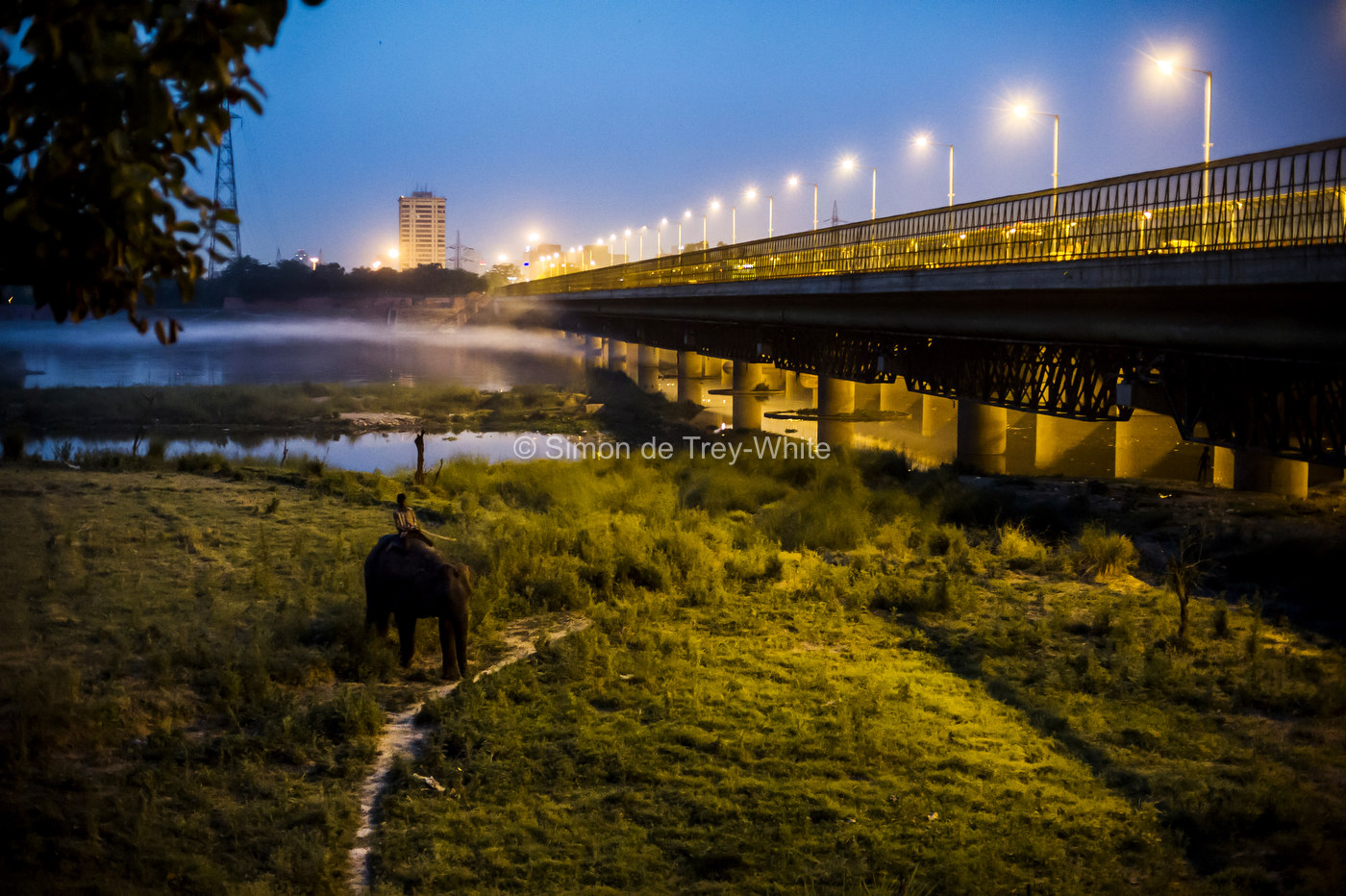 An image form my documentary project 'Delhi's Last Urban Elephant's' as featured on my new website